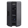 Location Enceinte CARBON 15 - AUDIOPHONY