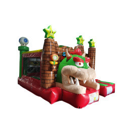 MARIO - Location structure gonflable